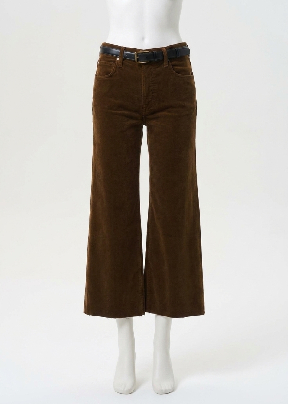 NEW CITIZENS OF HUMANITY women's lyra wide leg crop pant in manuka